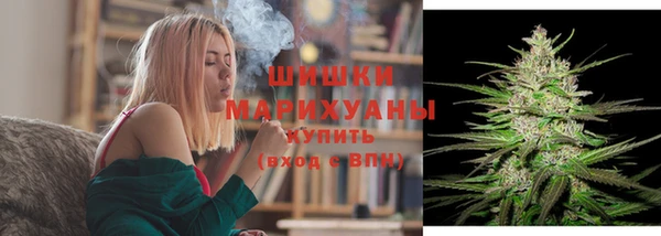 мдпв Чердынь
