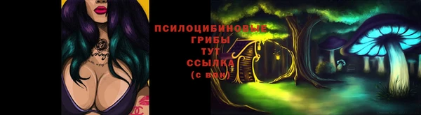 мдпв Чердынь