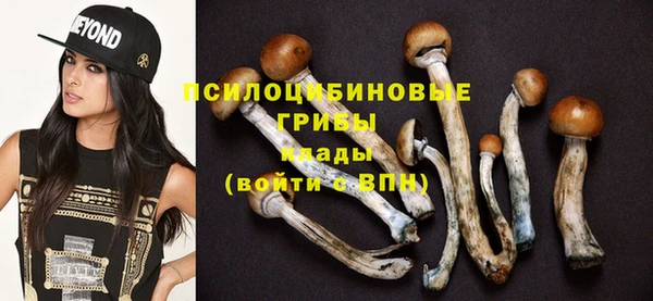 jwh Чегем