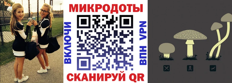 Псилоцибиновые грибы прущие грибы  Купить закладки  Иланский 